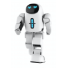 Pando humanoid Robot
